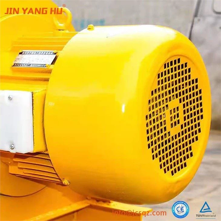 Electric Winch Hoist