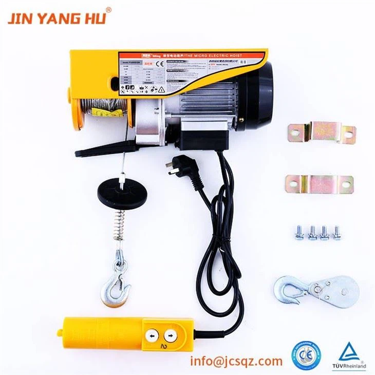 Electric Mini Hoist Crane 500kg Wire Rope Pa500
