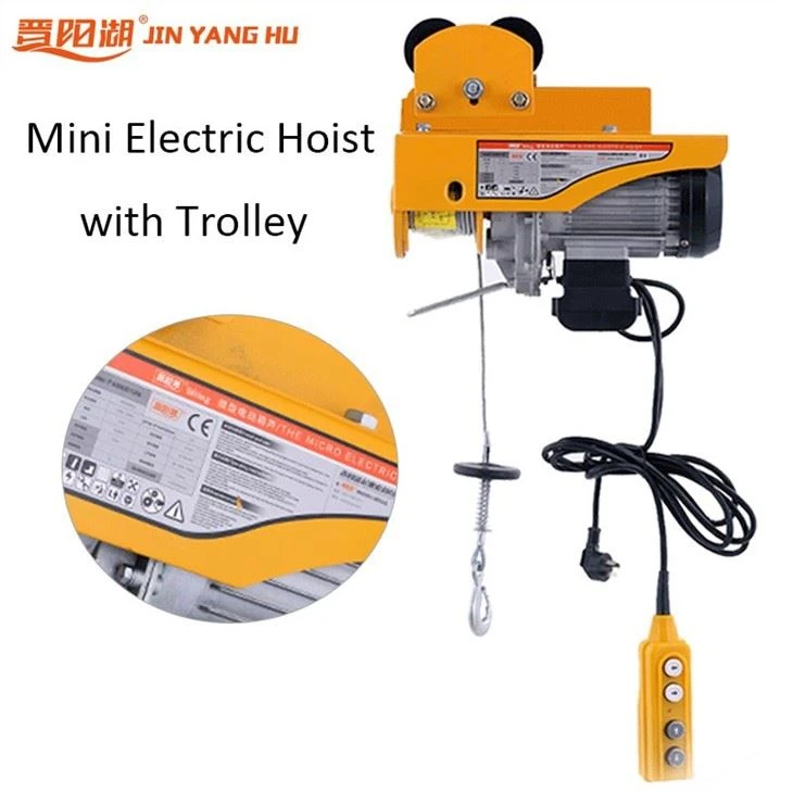 Industrial Micro Hoist