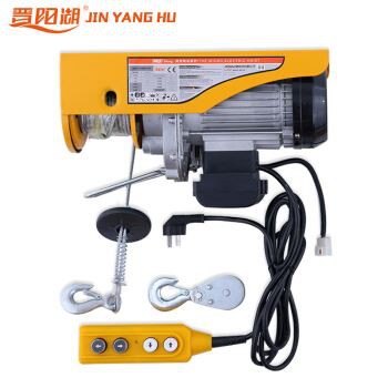 PA Mini Electric Hoist